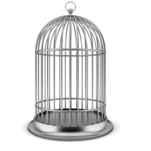 Bird Travel Cage